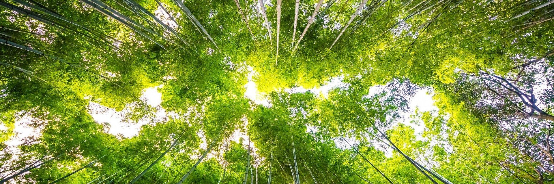 300 tysięcy do wygrania - wracają granty dla szkół, bibliotek i uczelni na projekty o czystej energii.