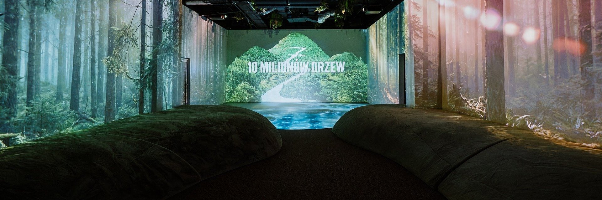 Wystawa, która pozwala poczuć naturę w centrum miasta