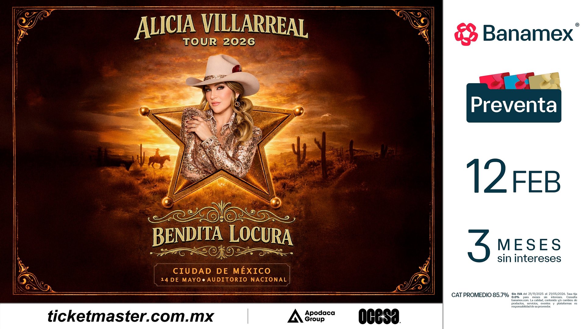 Invitación Conferencia de Prensa Alicia Villarreal