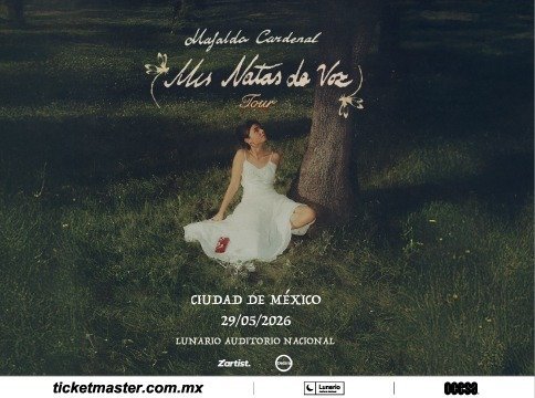 Invitación Conferencia de Prensa Virtual Mafalda Cardenal