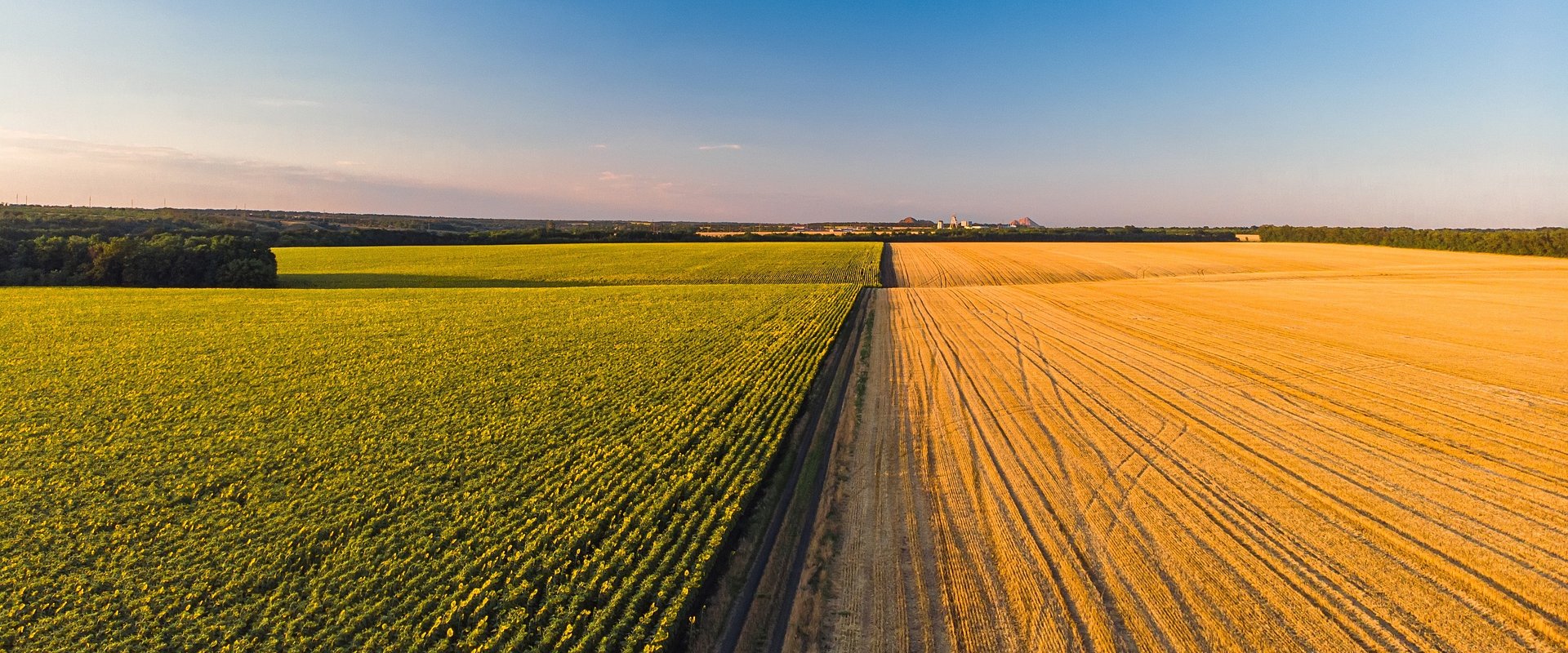 Agroskop: W rolnictwie wieje chłodem - trudniejsza koniunktura na wsi.