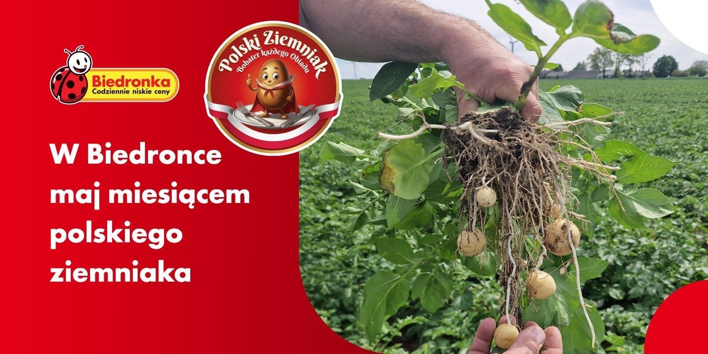 W Biedronce maj miesiącem polskiego ziemniaka