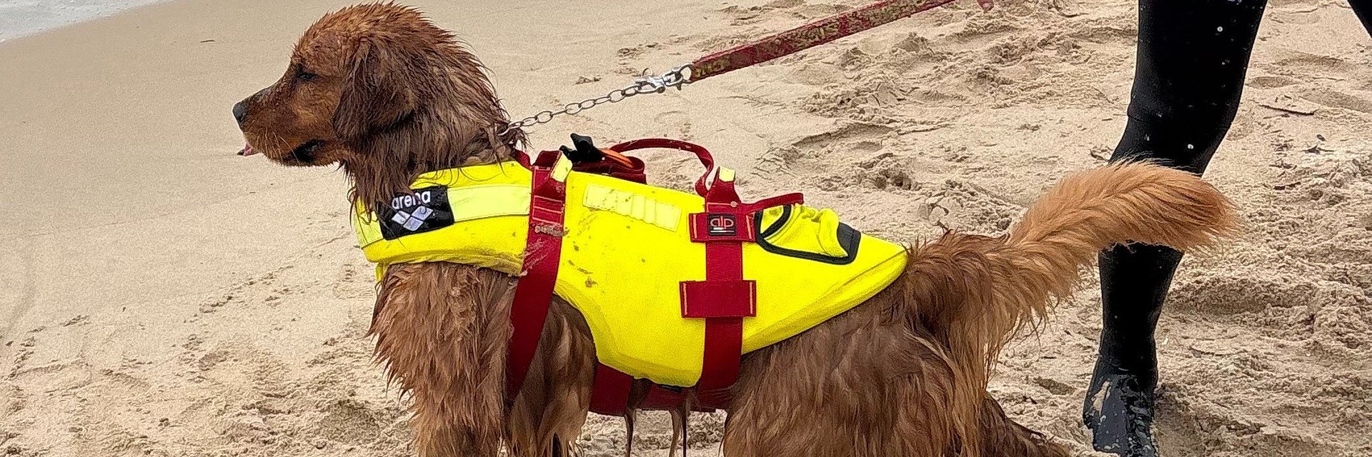 WATER SAFETY DAY: ARENA AND SICS PARTNER FOR MARITIME SAFETY