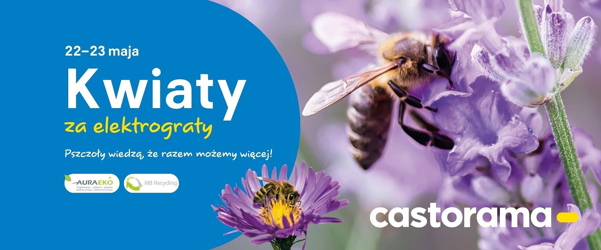 „Kwiaty za elektrograty” znów w maju! Po imponującej zbiórce 743 ton w marcu, czas na miododajną edycję