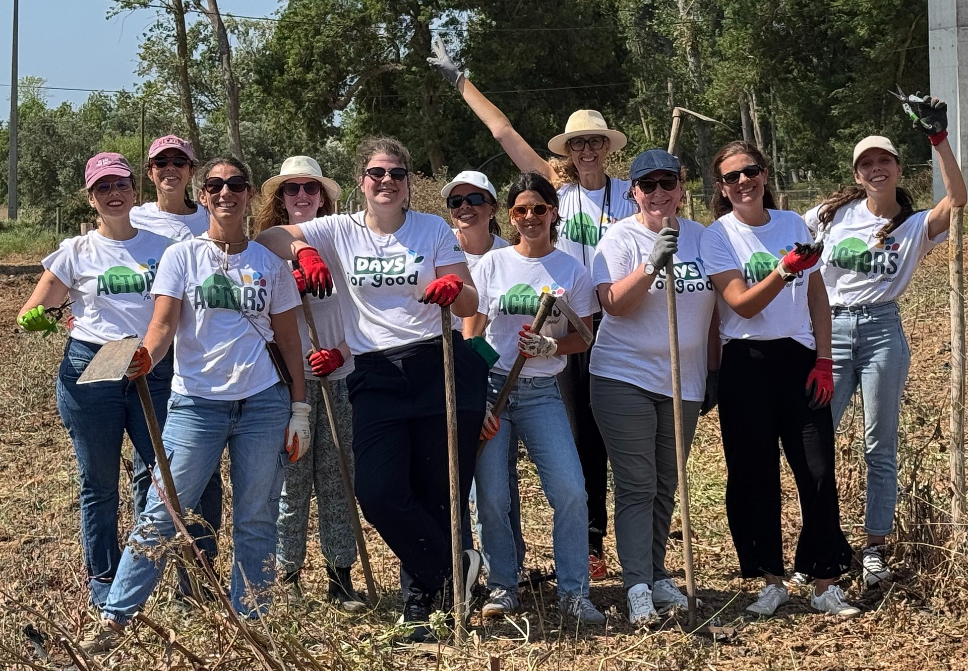 Bel Portugal reforça compromisso com voluntariado e mobiliza colaboradores para mais de 1.000 horas de impacto social