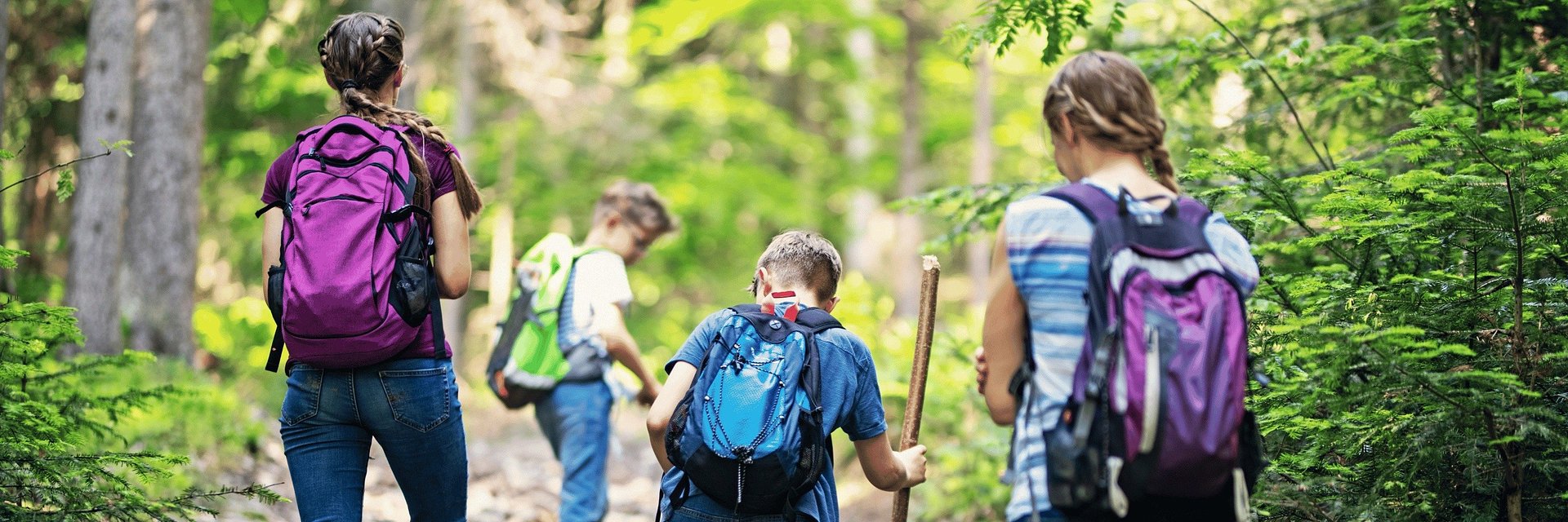Ireland’s 6 Best Family-Friendly Walks for Summer