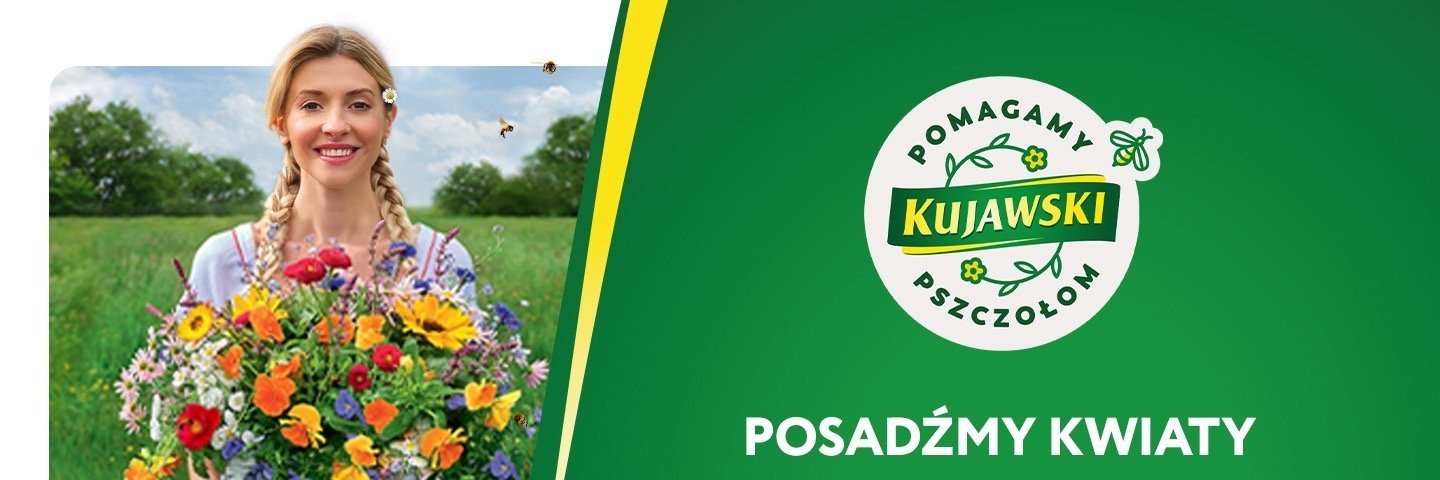 Kujawski i Ancy po raz trzeci łączą siły, by pomagać pszczołom