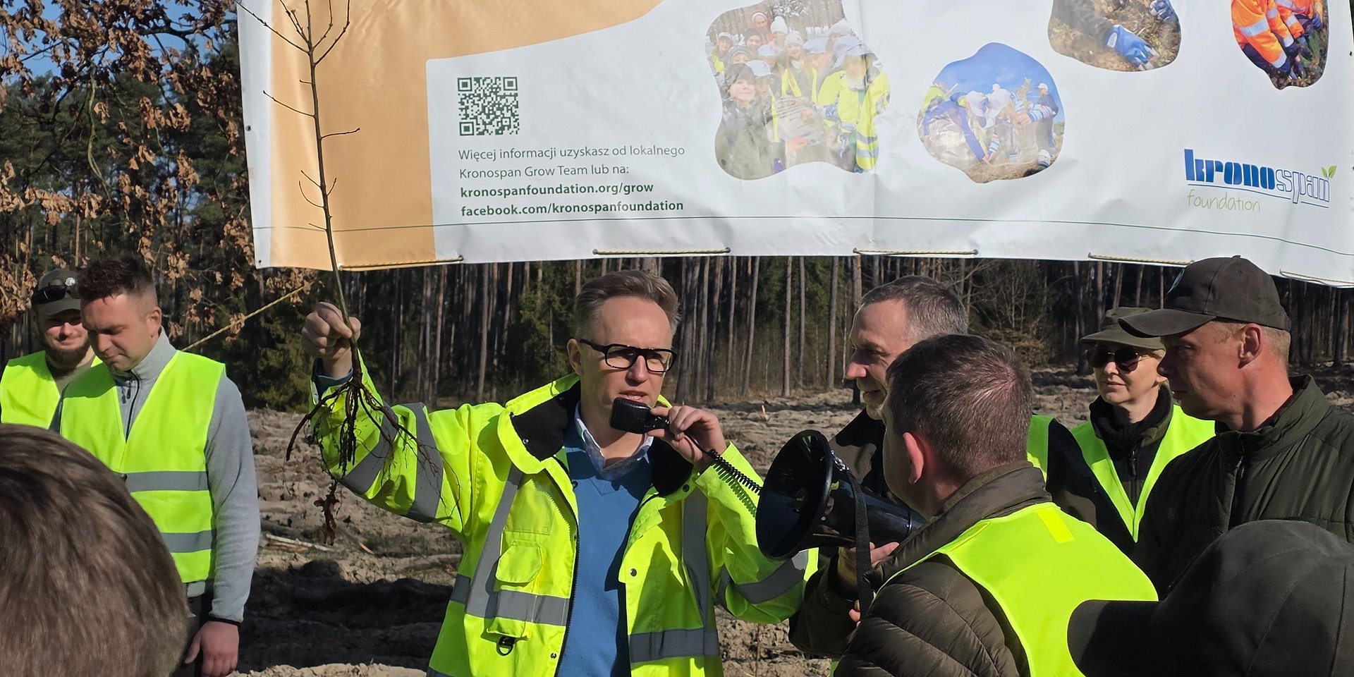 Ponad 50 tysięcy nowych drzew posadzonych