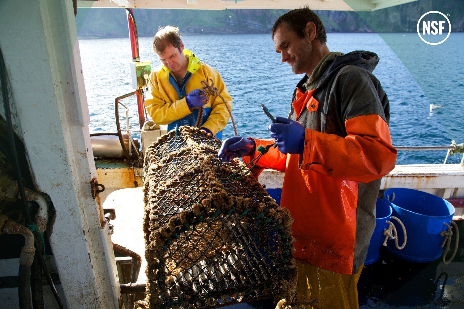 NSF Awards World-First Community Catch Certification to Orkney Crab Fishery