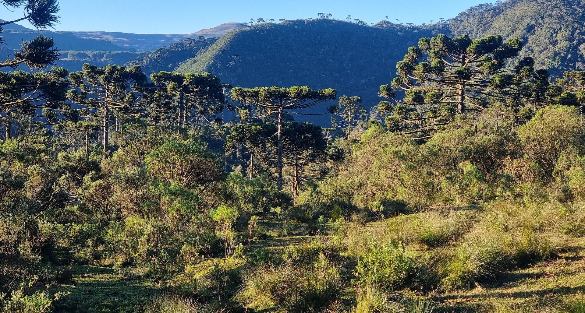 Tetra Pak atualiza “Plano de Proteção da Natureza” e reforça compromisso com o abastecimento responsável e a resiliência hídrica