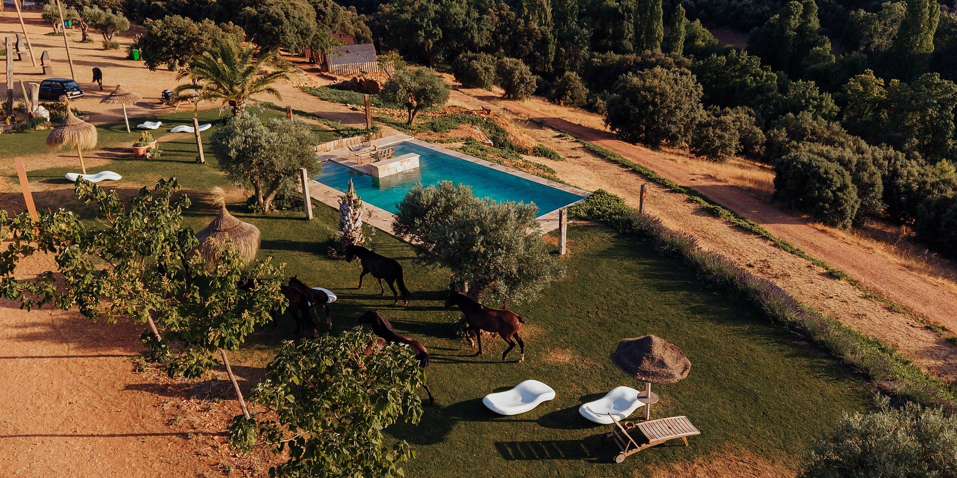 Wake Up Among Wild Horses: Stay ÖÖD Opens Its First Spanish Destination Near Madrid