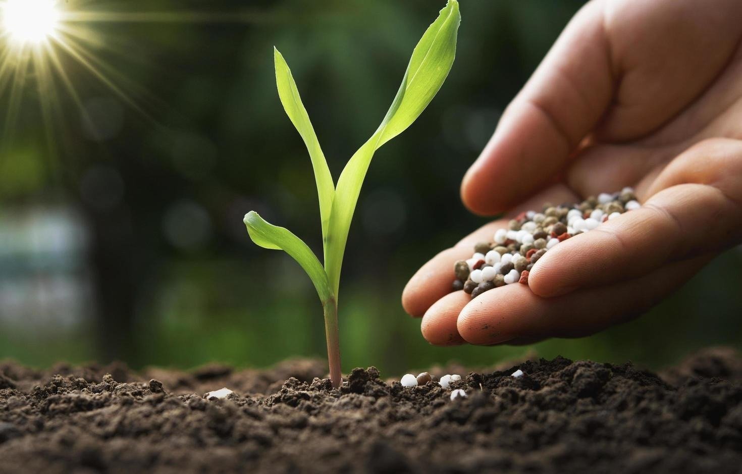 UFA and Ponoka Fertilizer Unite to Strengthen Crop Inputs Offering