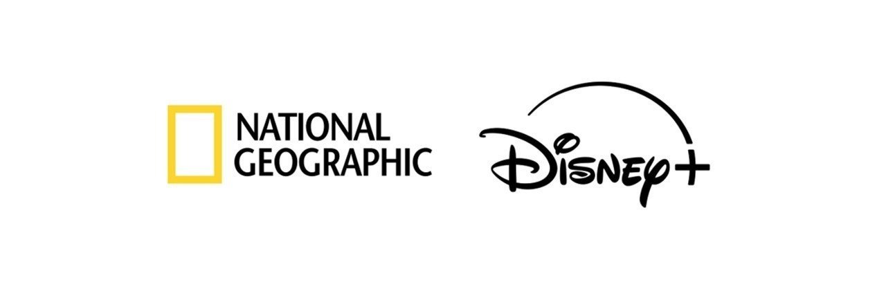 National Geographic revela o trailer de LION – Uma série épica de quatro episódios que acompanha a extraordinária jornada de uma cria de leão até se tornar rei