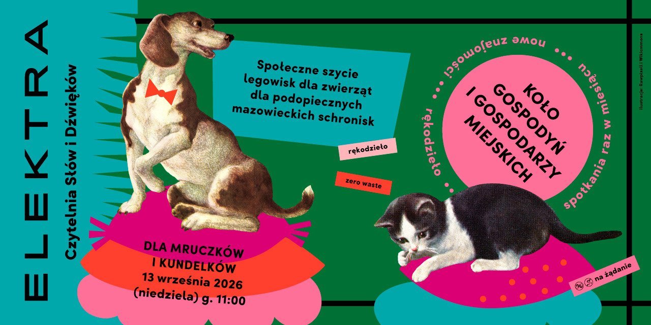 Koło Gospodyń i Gospodarzy Miejskich: Dla mruczków i kundelków – społeczne szycie legowisk dla podopiecznych mazowieckich schronisk