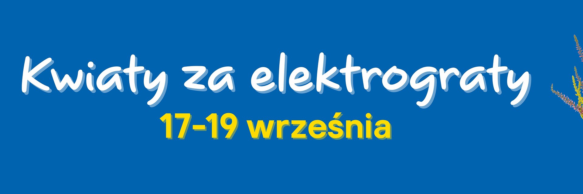 Zrób porządek i odbierz wrzosy od Castoramy. Rusza jesienna akcja „Kwiaty za Elektrograty”