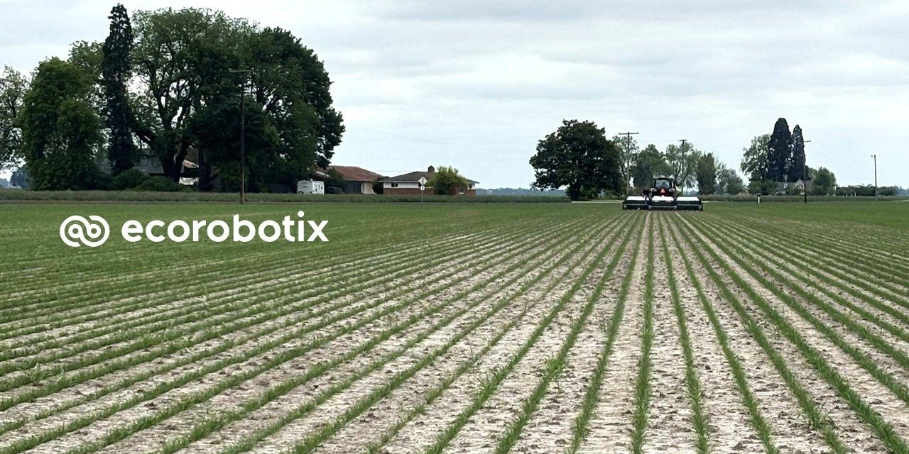 ARA™ Precision Sprayer Cuts Herbicide Application by 84% in Tall Fescue Trial
