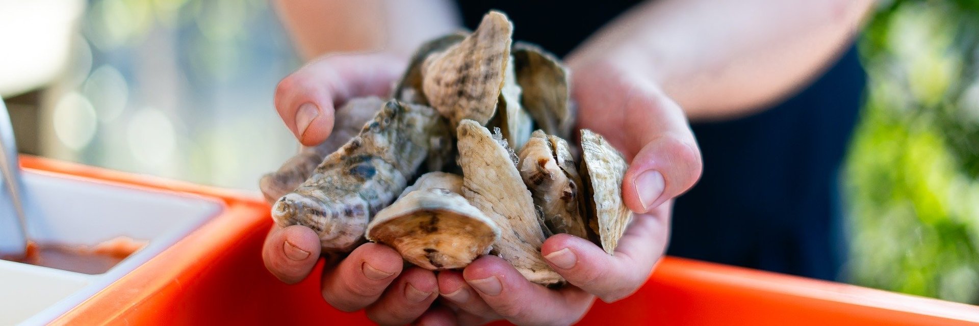 Clementine Unveils a Full October Lineup of Seasonal Dining, Wine & Fall Festivities
