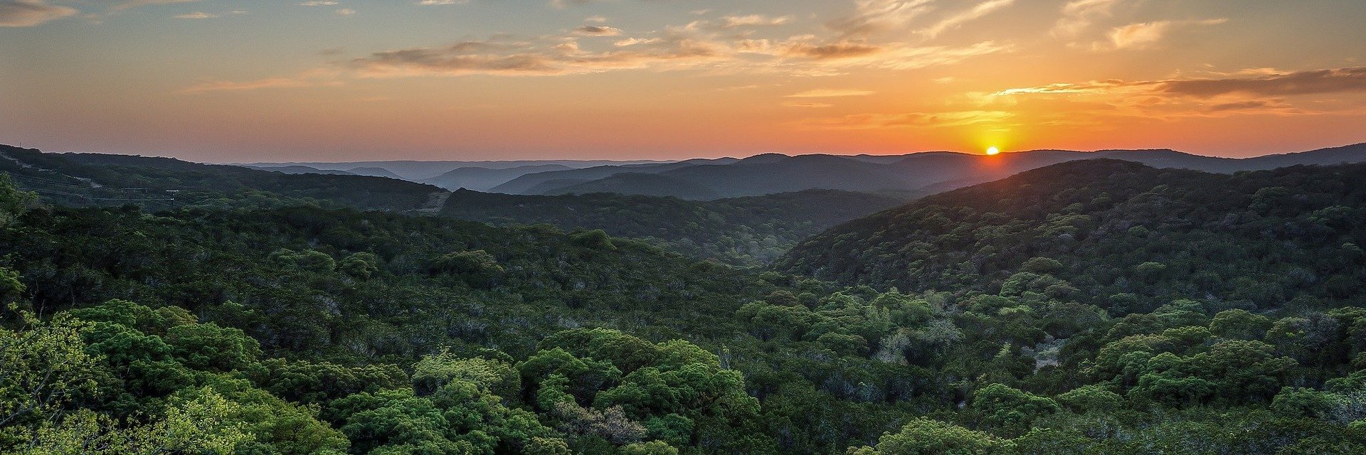 A New Design-Led Forest Retreat Is Redefining the Bridal Stay in East Texas