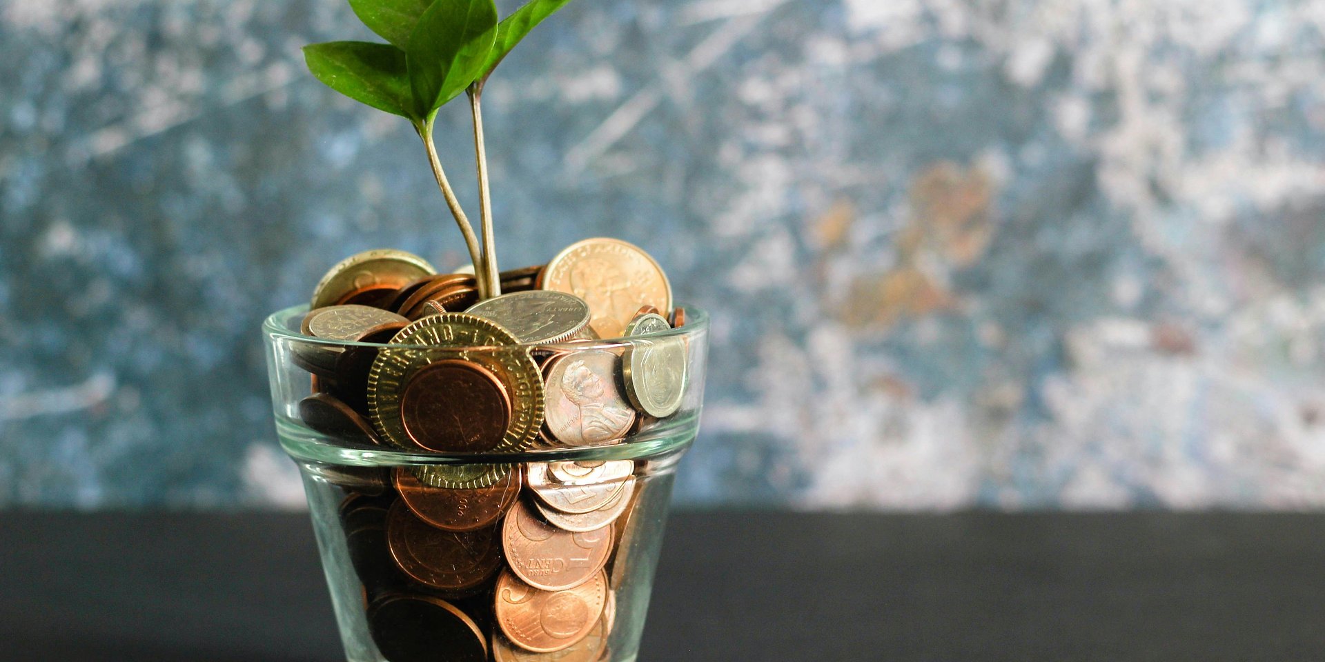6 cuidados a ter antes de começar a investir