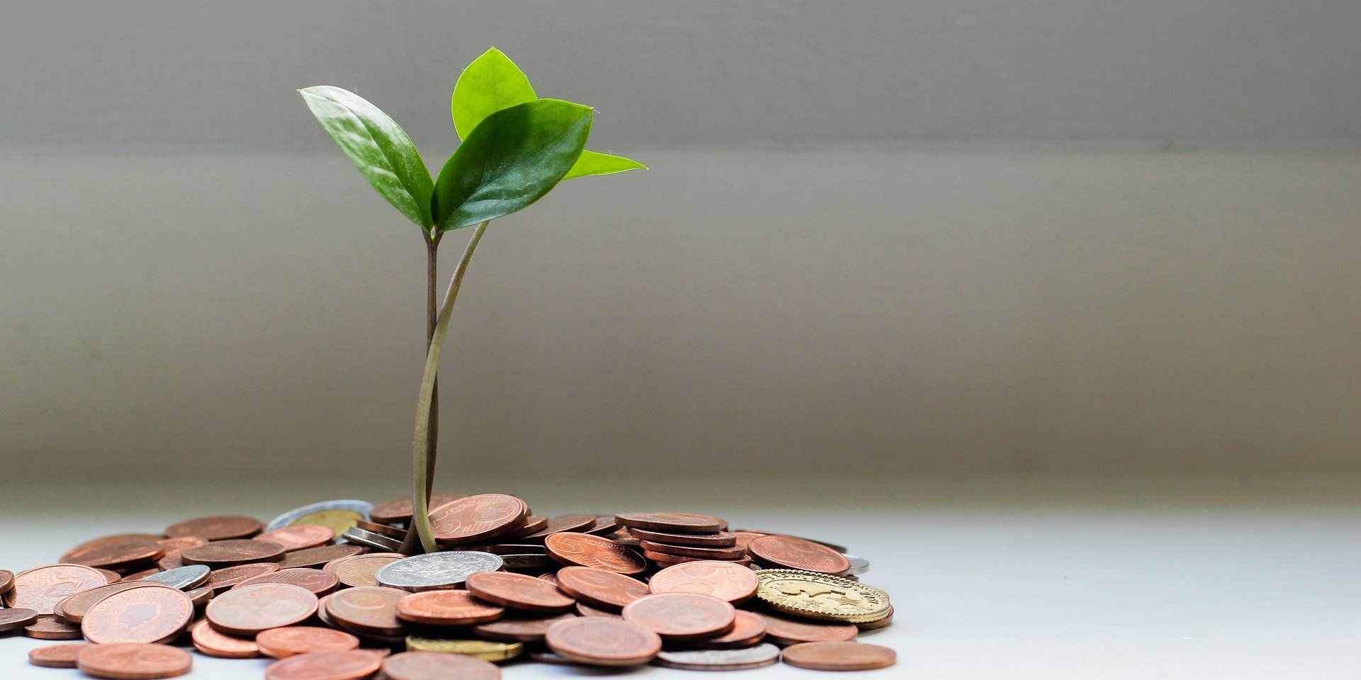 5 dicas para melhorar o bem-estar financeiro