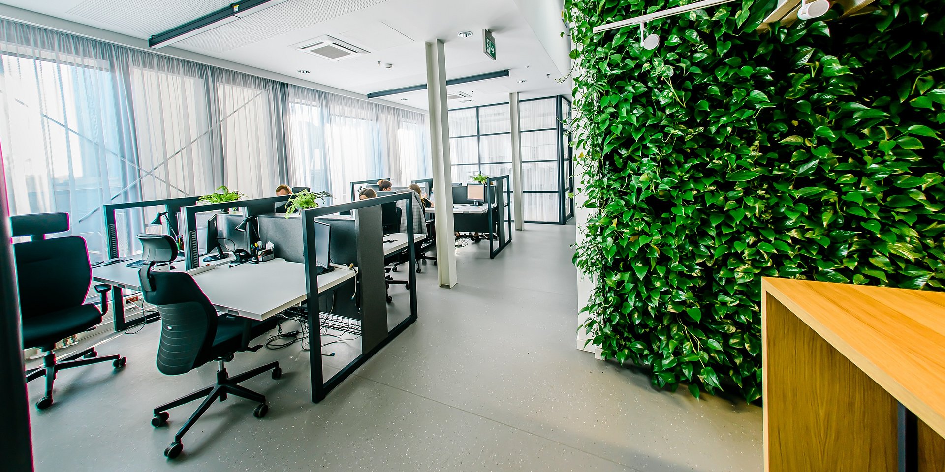 Biuro zero waste, czyli kilka słów o ekologicznych trendach w branży nieruchomości